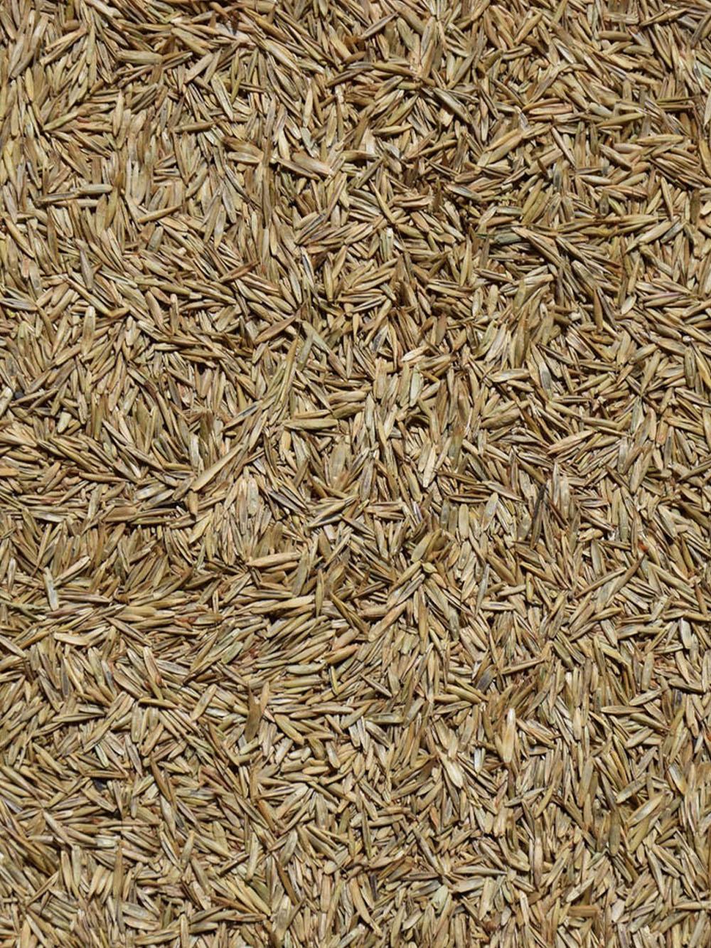 Speedy Green Turf Mix